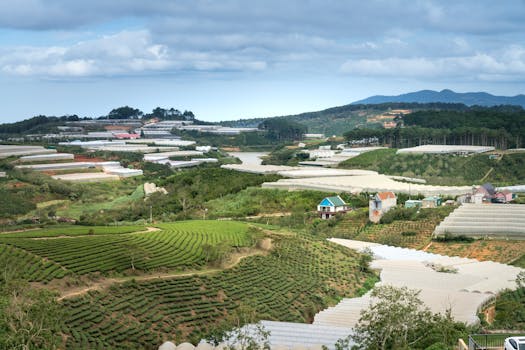 Picturesque rural farmland with greenhouses under a cloudy sky, showcasing agricultural beauty.